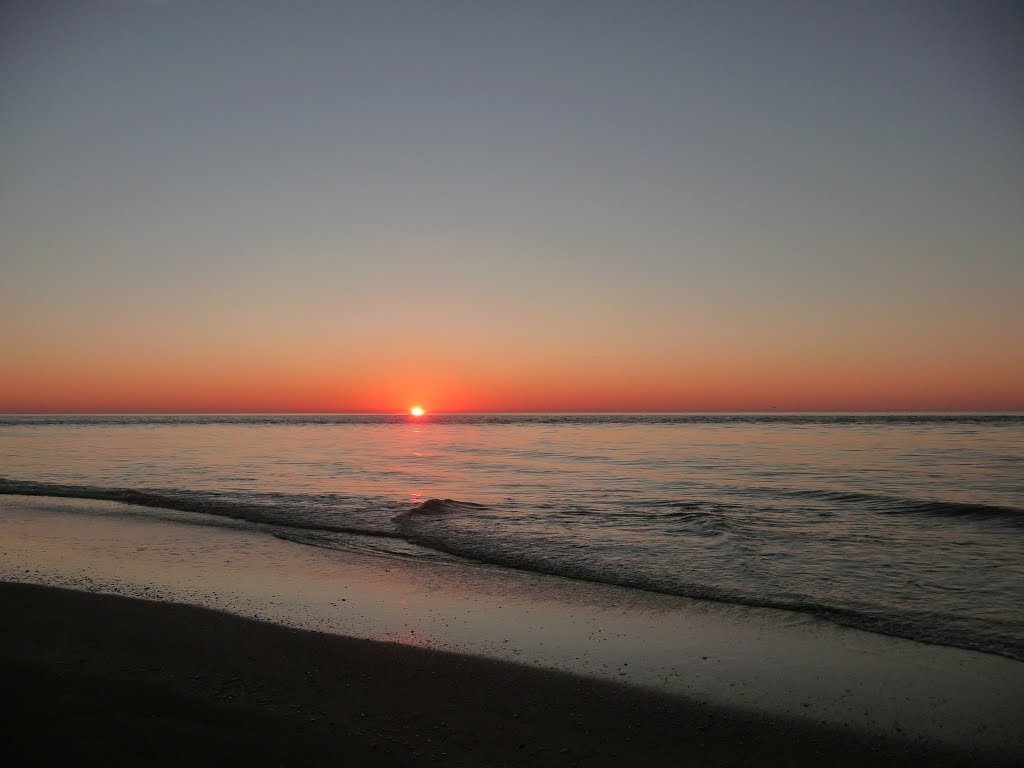 [Paisaje de Punta Rasa con vegetación y el mar de fondo]