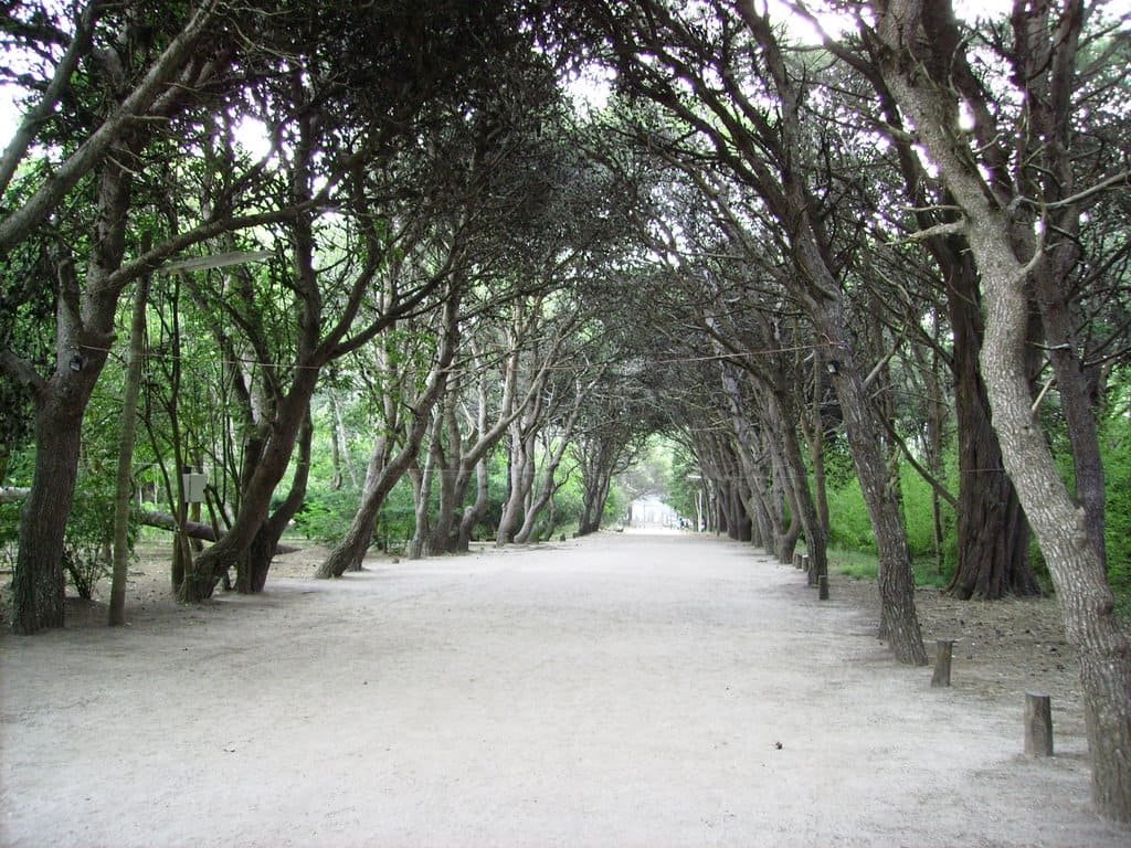 [Senderos arbolados del Vivero Cosme Argerich]